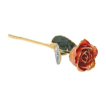 Lacquered Orange Rose with Gold Trim