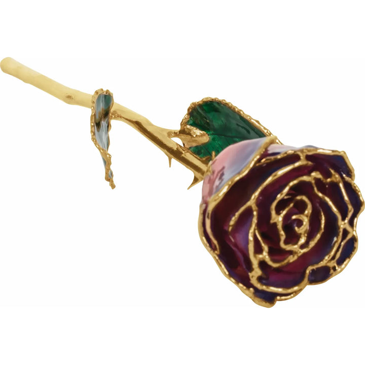 Lacquered Purple & Pink Rose with Gold Trim