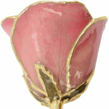 Lacquered Pink Rose with Gold Trim