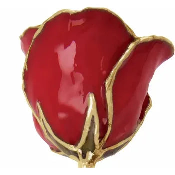 Lacquered Red Rose with Gold Trim