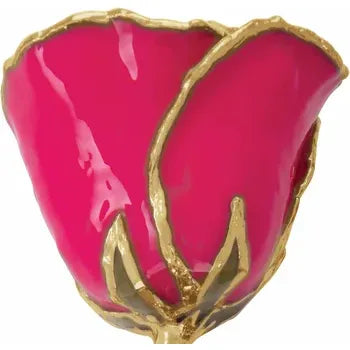 Lacquered Magenta Rose with Gold Trim