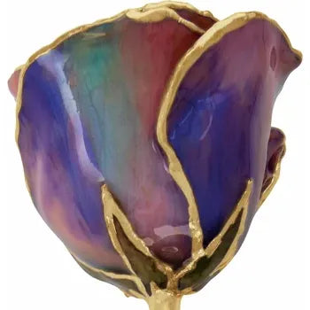 Lacquered October Opal Colored Rose with Gold