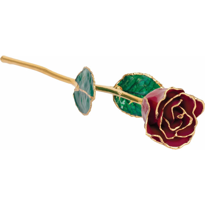 Lacquered Garnet Colored Rose with Gold Trim