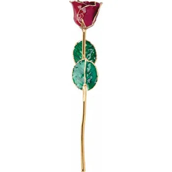 Lacquered Garnet Colored Rose with Gold Trim