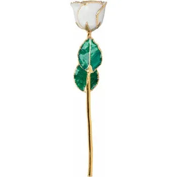 Lacquered Pearl Colored Rose with Gold Trim