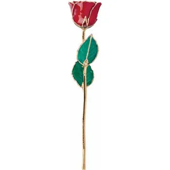 Lacquered Ruby Colored Rose with Gold Trim