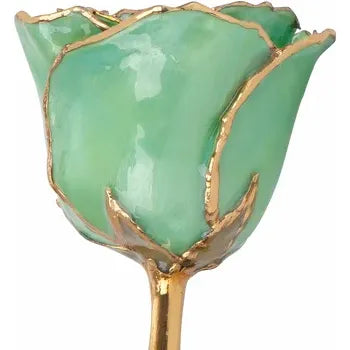 Lacquered Peridot Colored Rose with Gold Trim