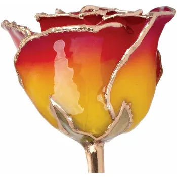 Lacquered Sunset Yellow & Red Rose with Gold Trim