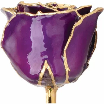 Lacquered Purple Rose with Gold Trim