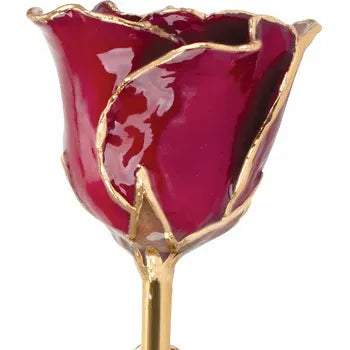 Lacquered Garnet Colored Rose with Gold Trim