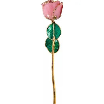 Lacquered Pink Sparkle Rose with Gold Trim