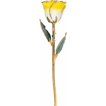 Lacquered Cream Yellow Rose with Gold Trim